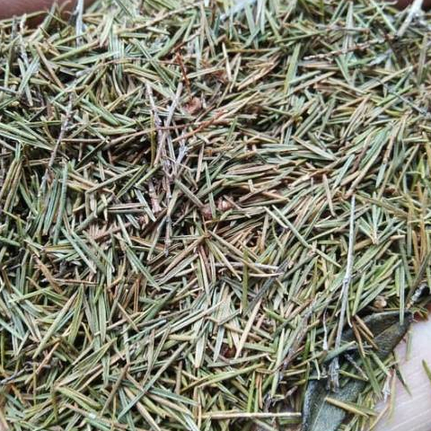 

TERBAIK HERBAL JUNG RAHAP KERING/BAECKEA FRUTESCENS 250 GRAM
