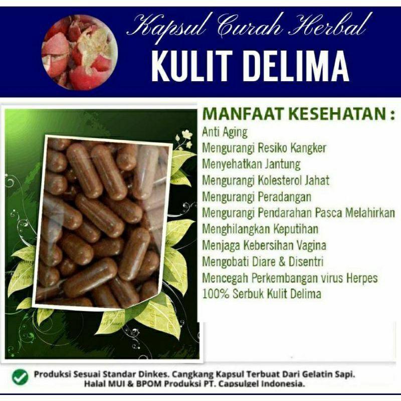 

KULIT DELIMA 100 KAPSUL OBAT HERBAL ALAMI (GRADE A5)