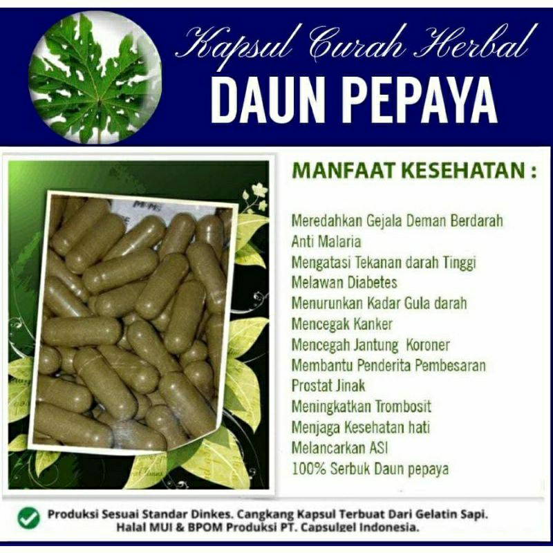 

DAUN PEPAYA 100 KAPSUL OBAT HERBAL ALAMI (GRADE A5)