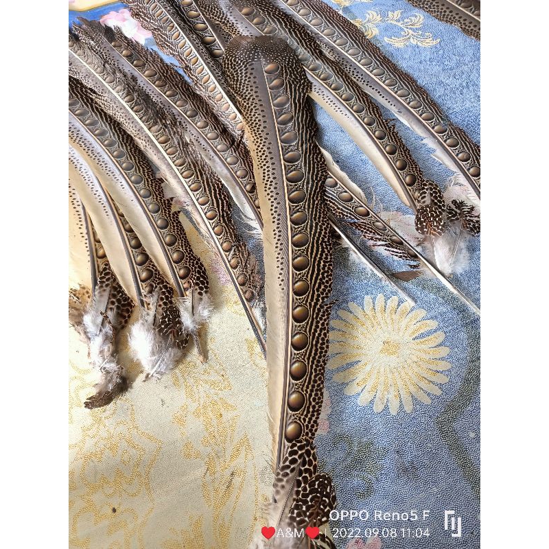 Bulu burung untuk menari dan aksesoris mandauw bulu dayak