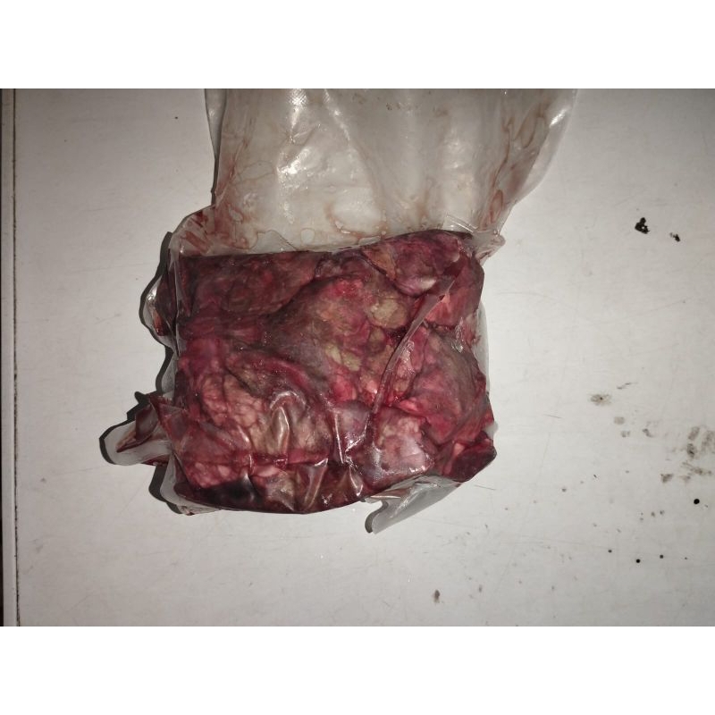 

paru paru sapi mentah