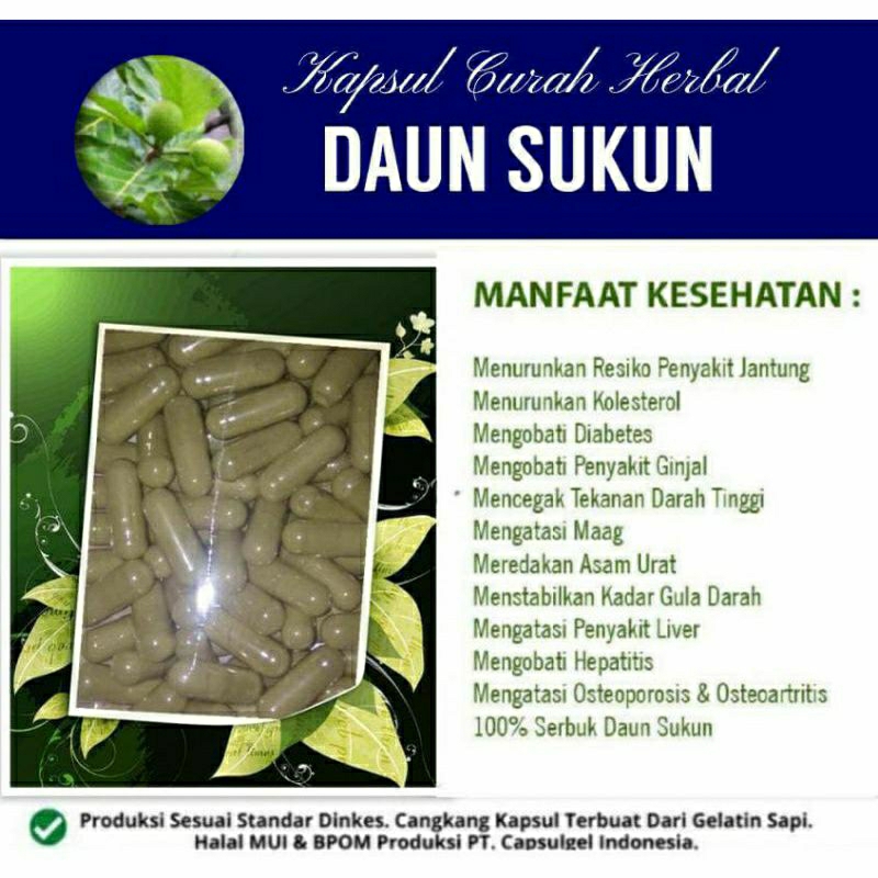 

DAUN SUKUN 100 KAPSUL OBAT HERBAL ALAMI (GRADE A5)