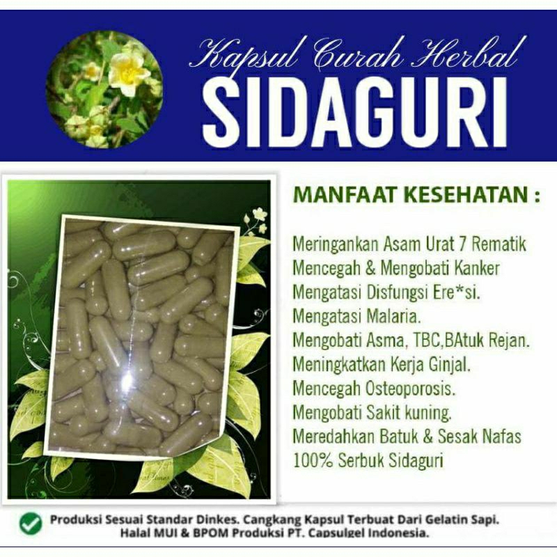 

SIDAGURI 100 KAPSUL OBAT HERBAL ALAMI (GRADE A5)