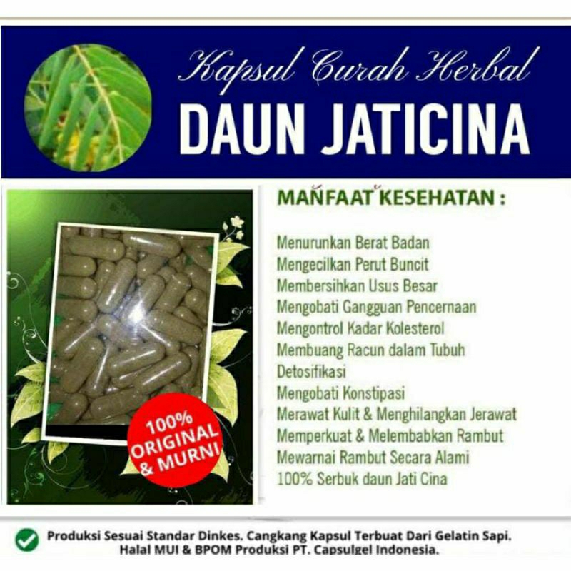 

DAUN JATI CINA 100 KAPSUL OBAT HERBAL ALAMI (GRADE A5)