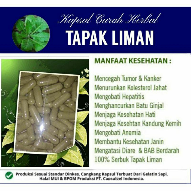 

TAPAK LIMAN SUPER 100 KAPSUL OBAT HERBAL ALAMI (GRADE A5)