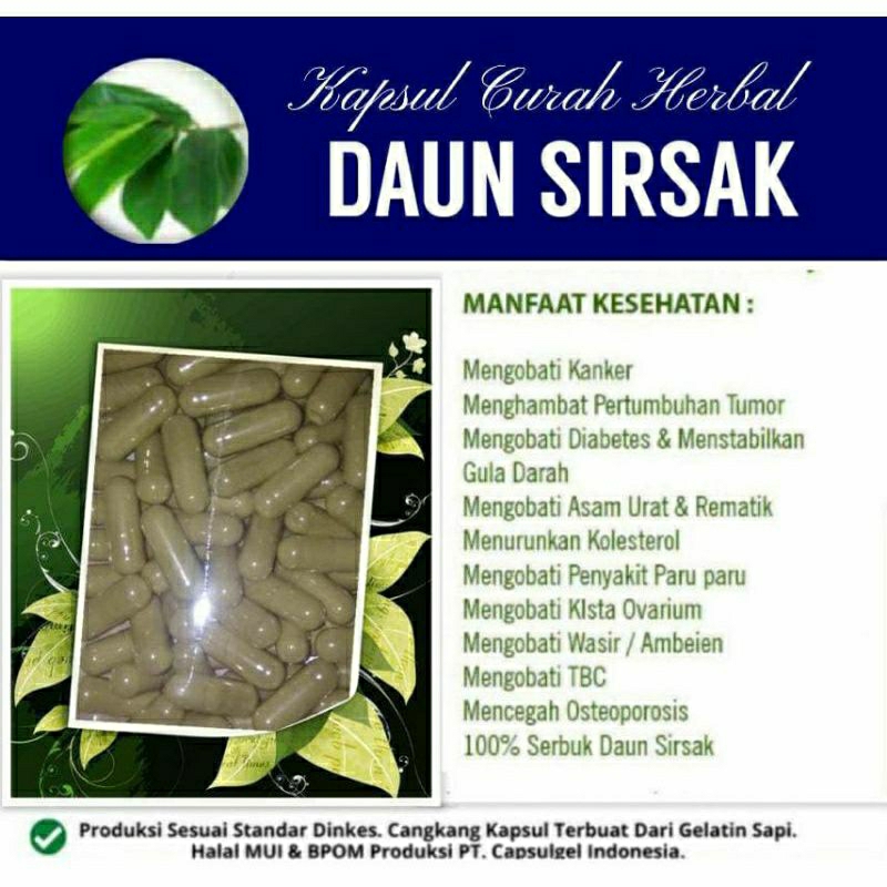 

DAUN SIRSAK SUPER PREMIUM 100 KAPSUL OBAT HERBAL ALAMI (GRADE A5)