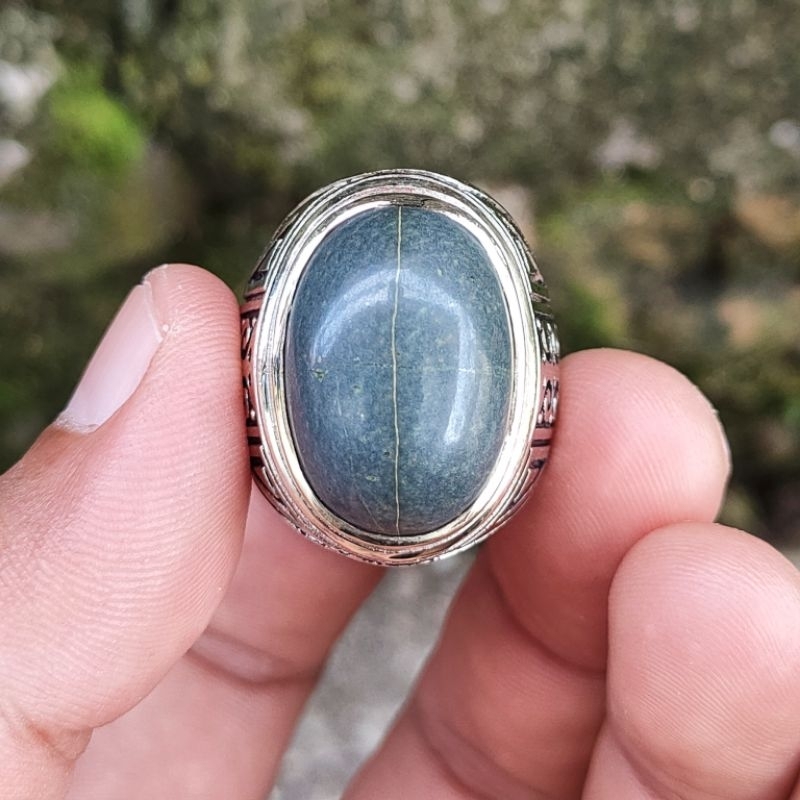 BATU AKIK TAPAK JALAK BADAR BESI NEMPEL MAGNET KODE 02460