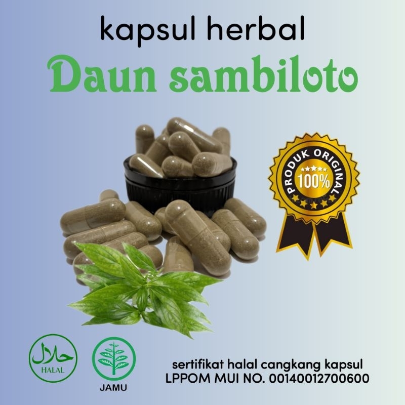 SAMBILOTO ISI 100 Kapsul Herbal Curah Sambiloto