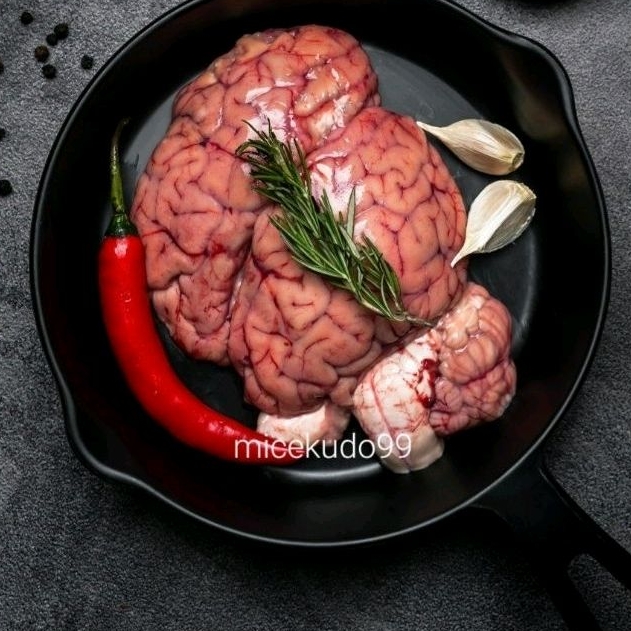 

OTAK SAPI SEGAR UTUH FRESH HALAL BUKAN FROZEN