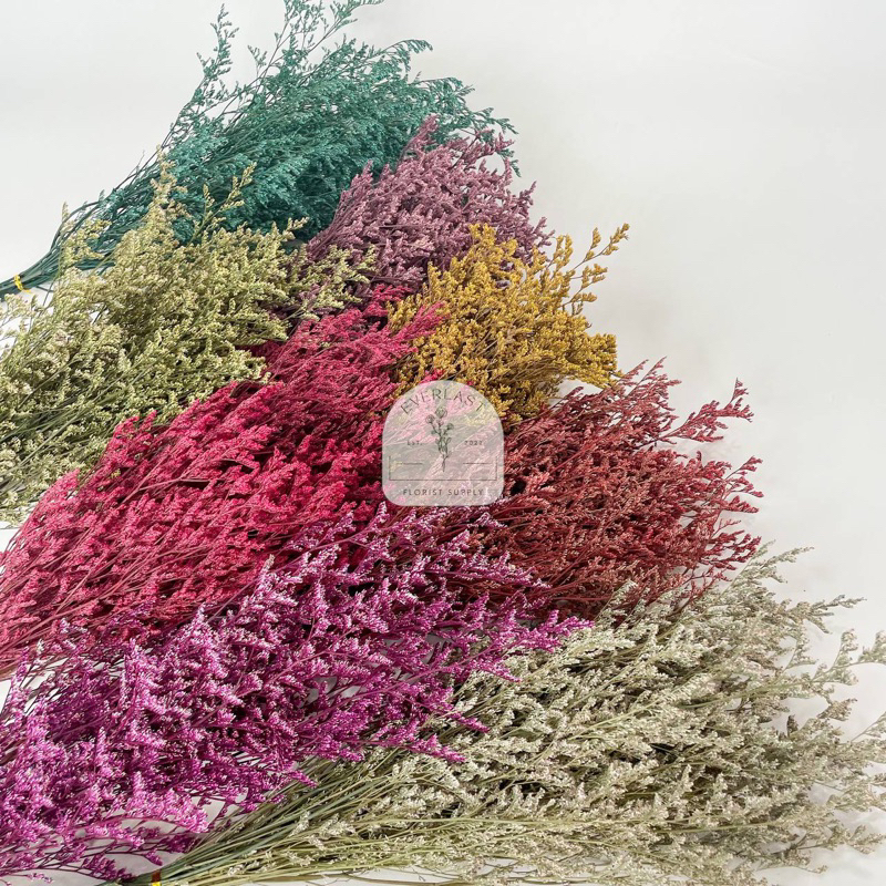 (25gr,50gr,100gr) PRESERVED CASPEA GRASS / CASPEA DRIED FLOWER | Dried Caspea, Preserved Caspea | HI