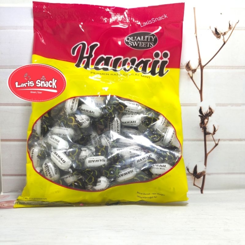 

Permen Rasa Coklat Mint Hawaii 280gr (80pcs)