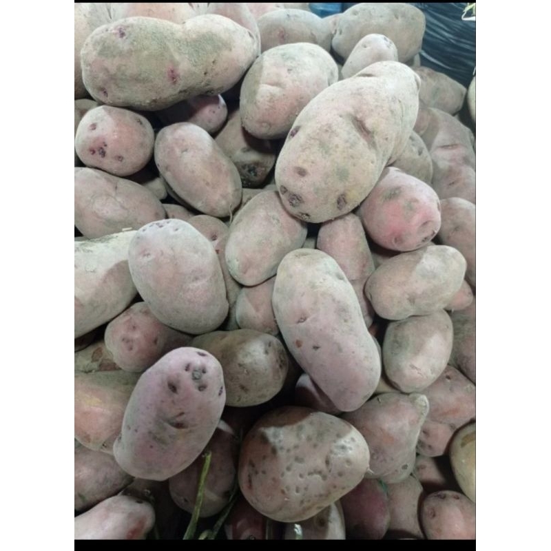 

Kentang Merah / 250gr