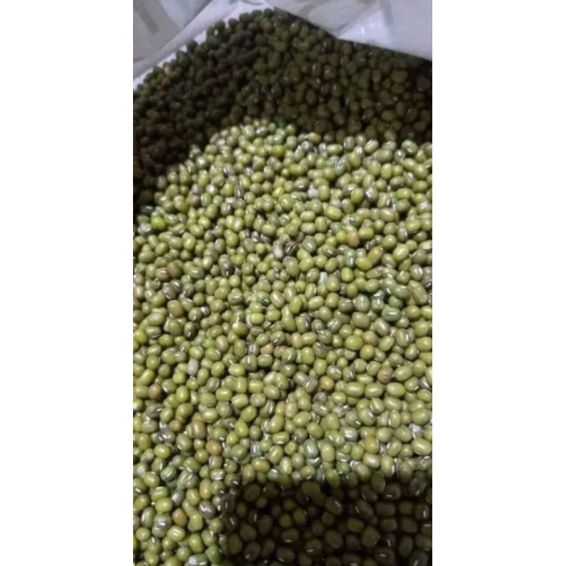 kacang hijau 250 gram