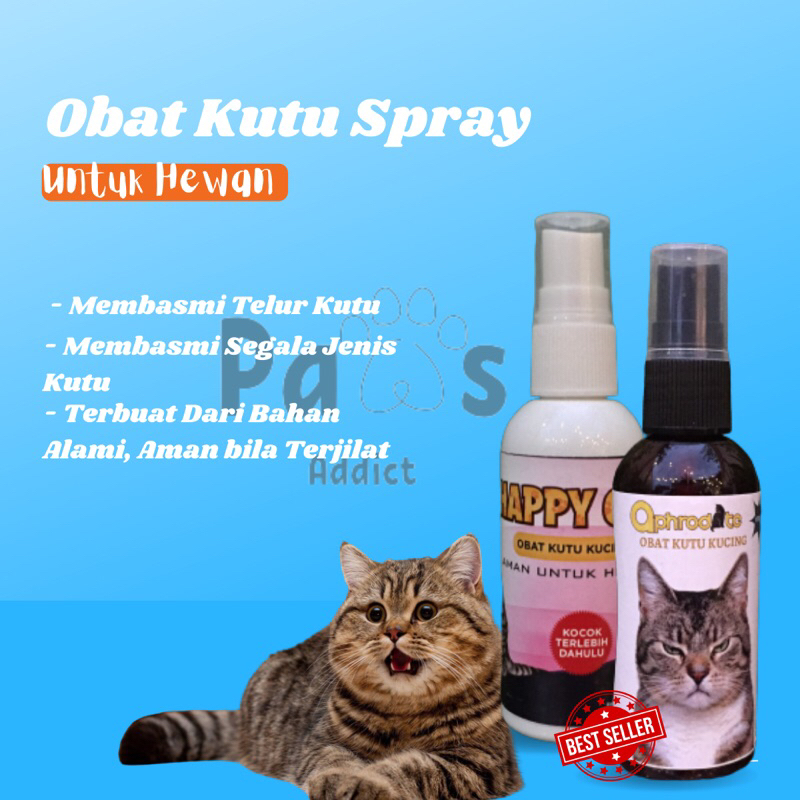 Obat Kutu Kucing Spray Ampuh Mengatasi Kutu Dan Telur Kutu Semprot Aman Jika Terjilat Kucing Kitten