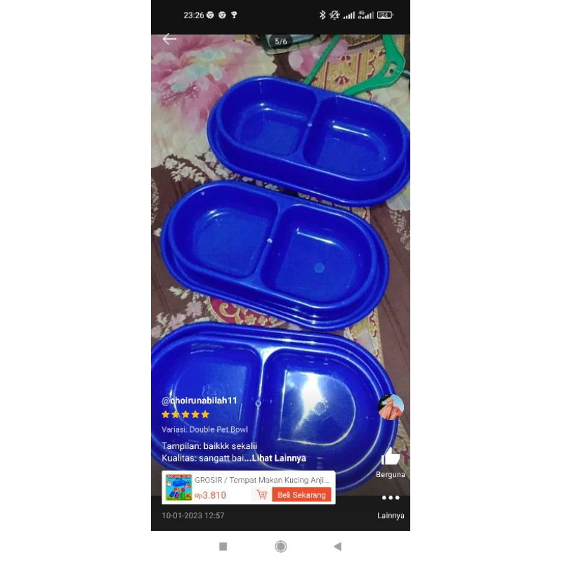 GPSS- Tempat Makan Kucing Anjing Kelinci Musang ANTI SEMUT Double Pet Bowl Tempat Makan Anjing Wadah Pakan Kucing Tempat Makan Kelinci Tempat Makan Musang Tempat Makan Hamster Tempat Minum Kucing Botol Minum Hewan Mangkok Makan Kucing Mainan Kucing