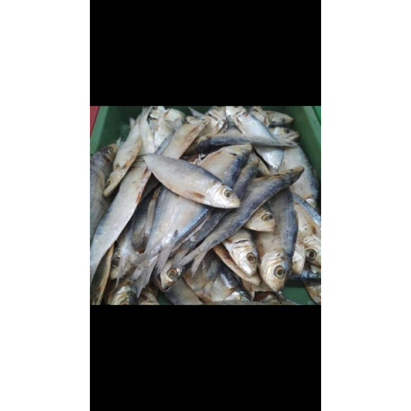 

IKAN ASIN TEMBANG