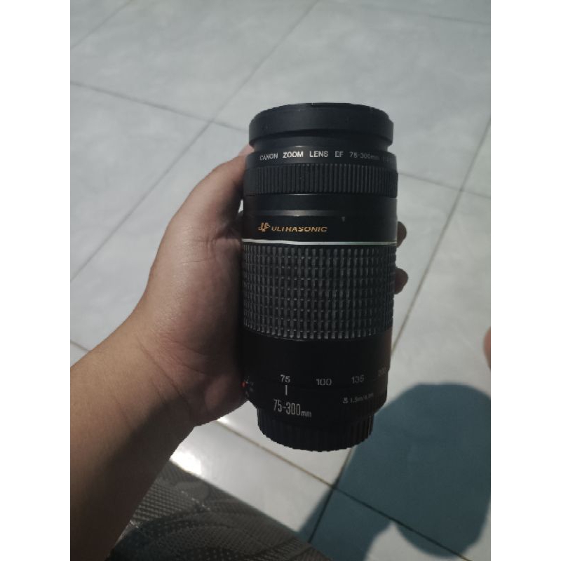 canon 1100 D dan Lensa tele canon 70 300 mm