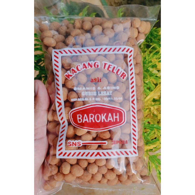 

Kacang Telur Kemasan 1/2 kg