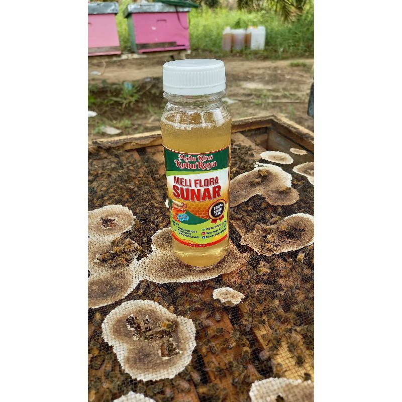 

Madu Lebah Kalimantan 250 gram