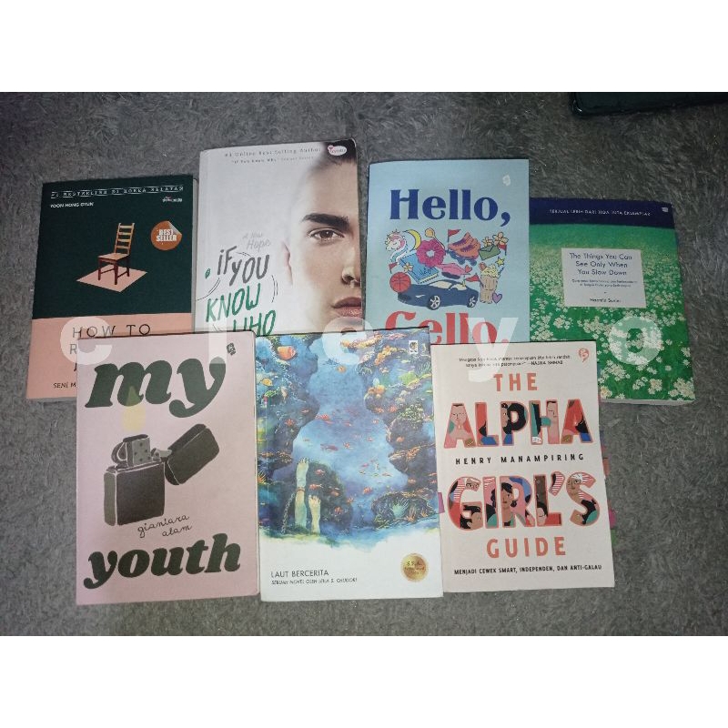 Preloved novel the alpha girl's guide/laut bercerita/things you can see only when you slowdown