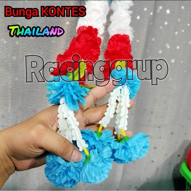 Bunga kontes 3 warna Thailand /bunga thailand import