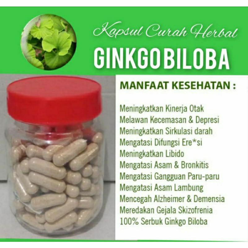 

GINKGO BILOBA 100 KAPSUL OBAT HERBAL TERBAIK (PREMIUM QUALITY)