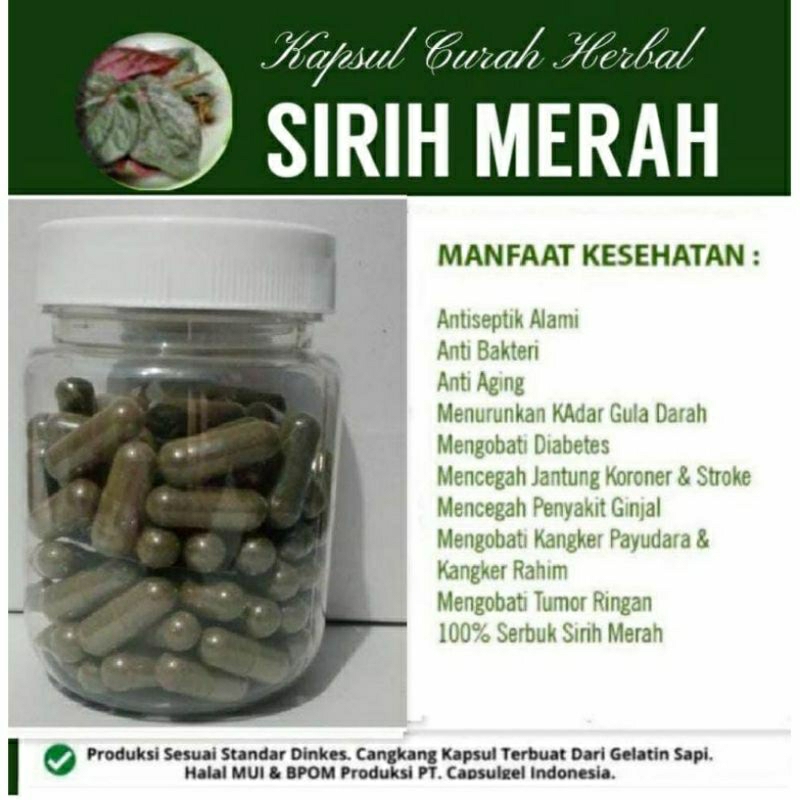 

SIRIH MERAH 100 KAPSUL OBAT HERBAL TERBAIK (PREMIUM QUALITY)