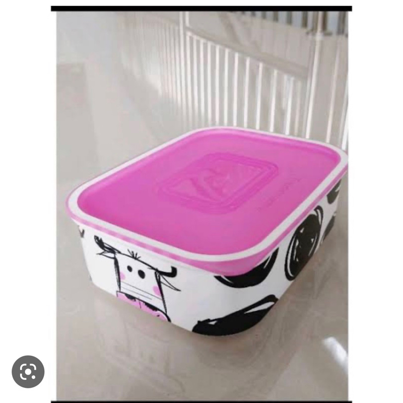 baseline cow / burung merak ecer(1)