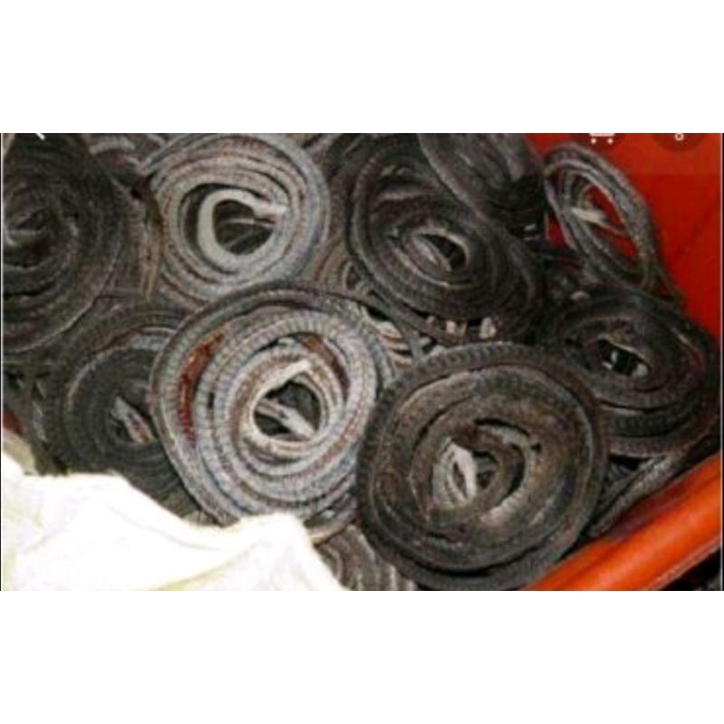 

600 G GR GRAM 花蛇干 HUA SHE GAN AGKISTRODON ACUTUS