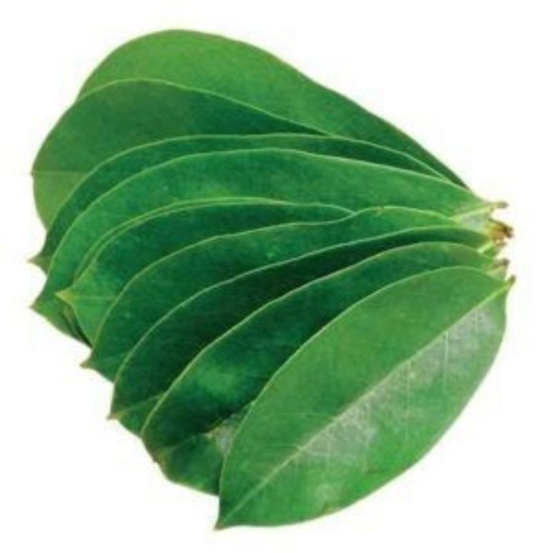 

DAUN SIRSAK HERBAL PER 100 LEMBAR