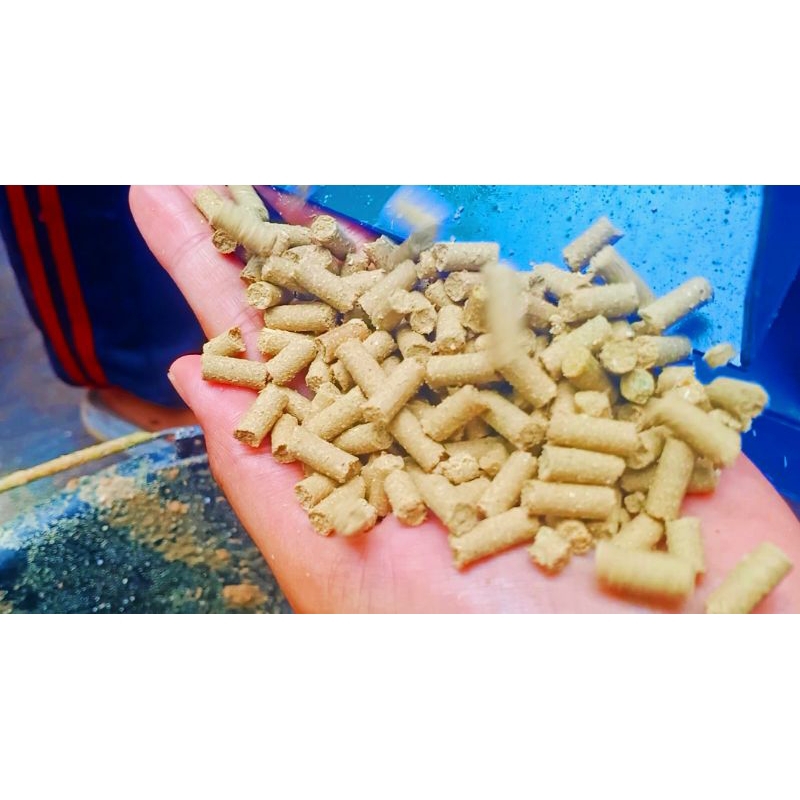 mesin pelet vertikal 4 roller tanpa penggerak