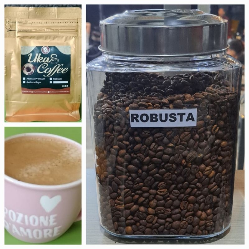 

robusta