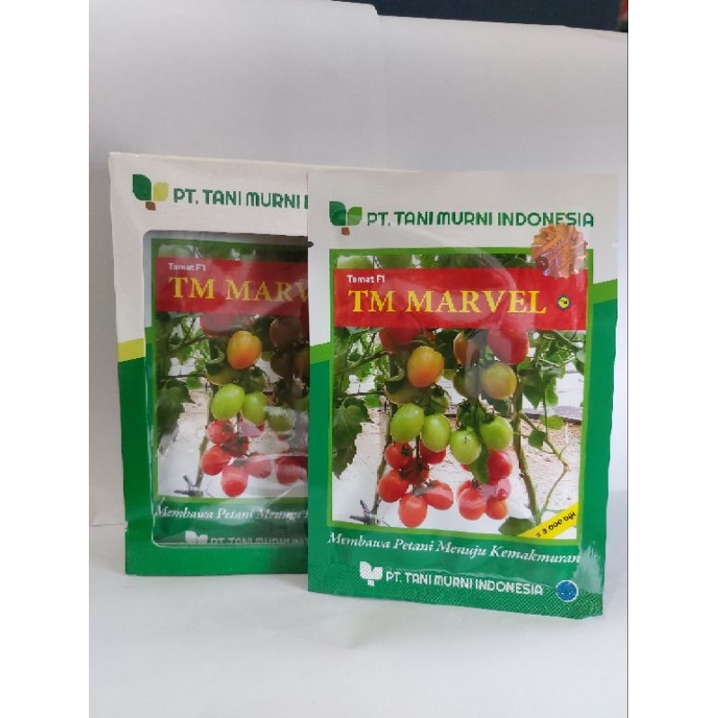 benih Tomat F1 TM MARVEL isi 3000 biji