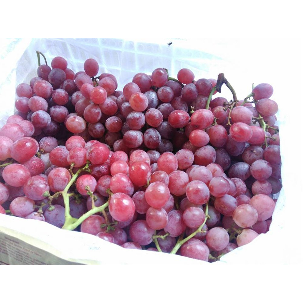 BUAH ANGGUR 1 KERANJANG