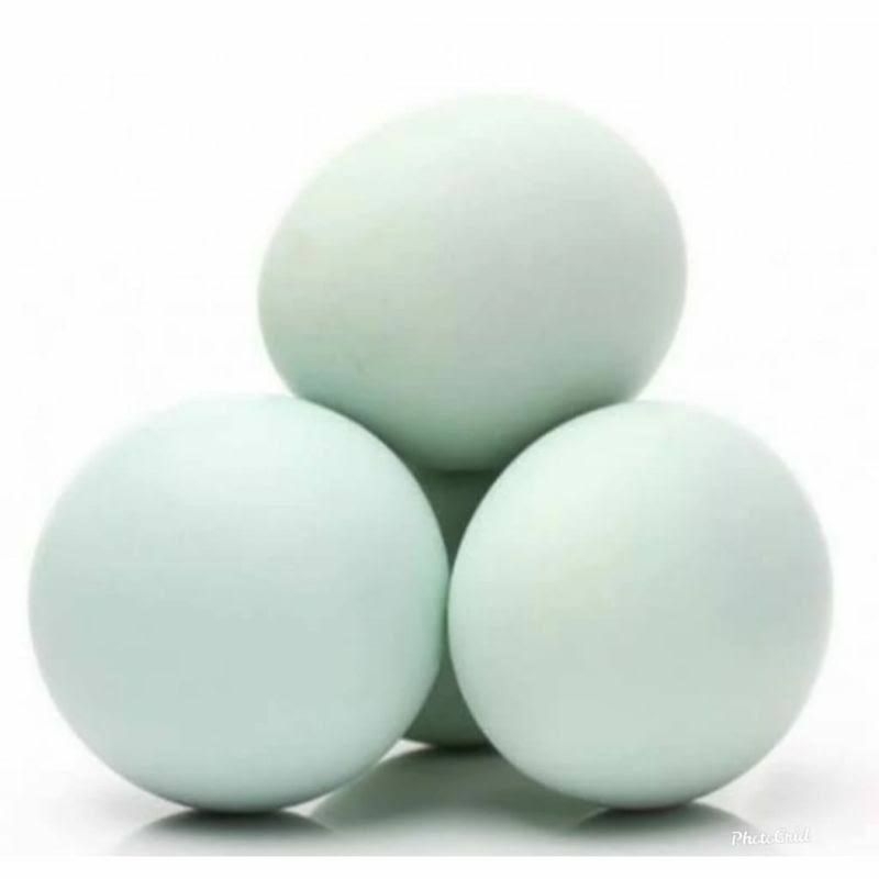 

telor asin