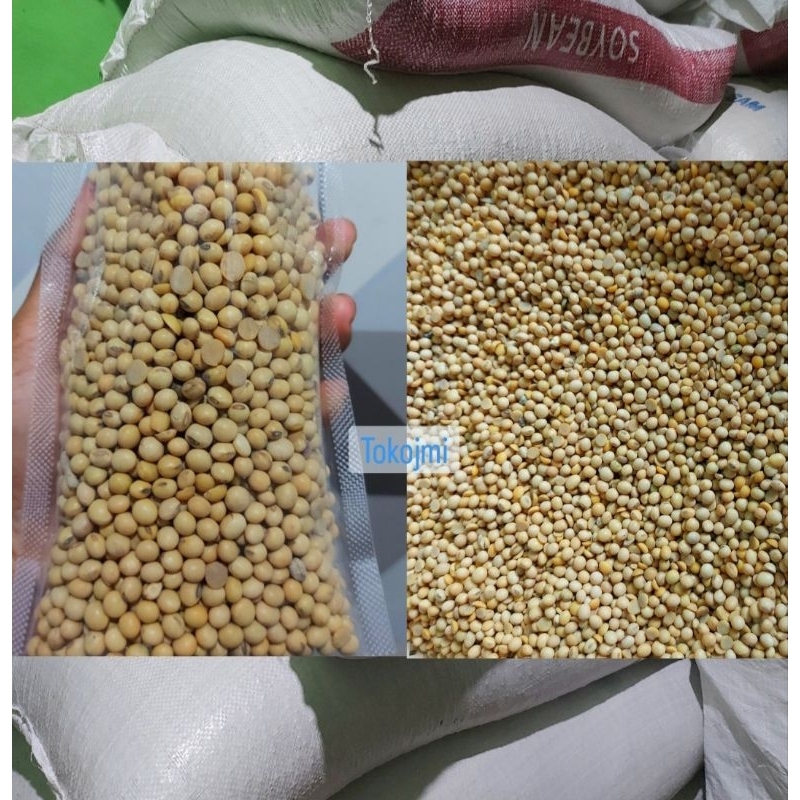 

KACANG KEDELAI IMPORT 500 GRAM