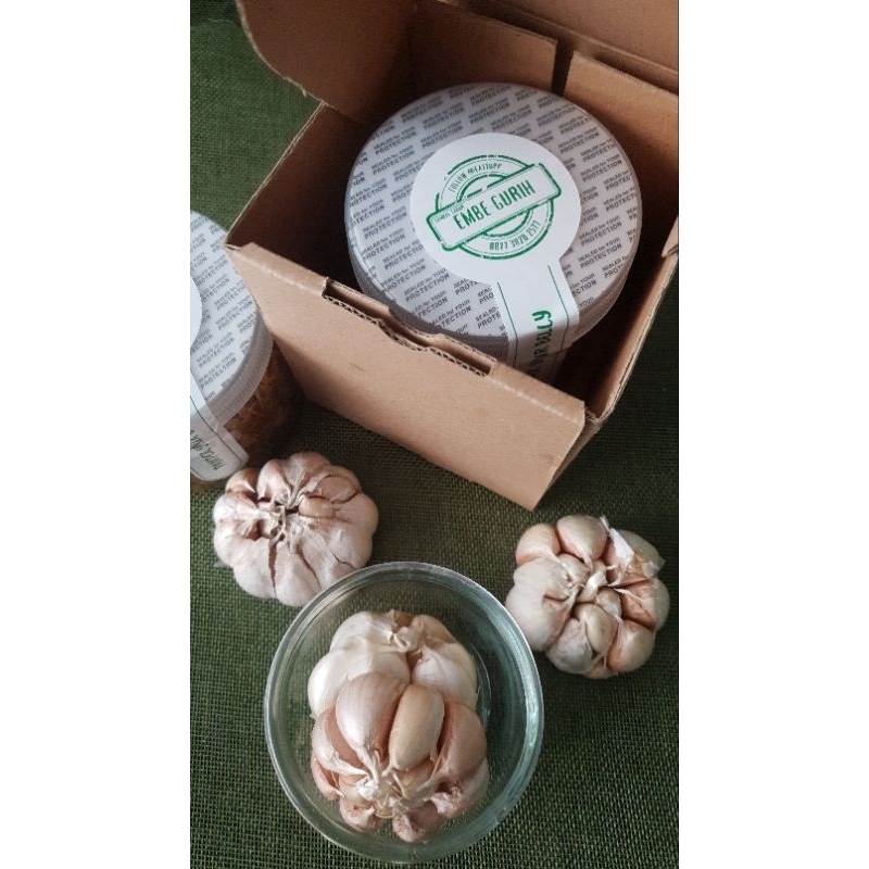 

EMBE GURIH UKURAN SEDANG