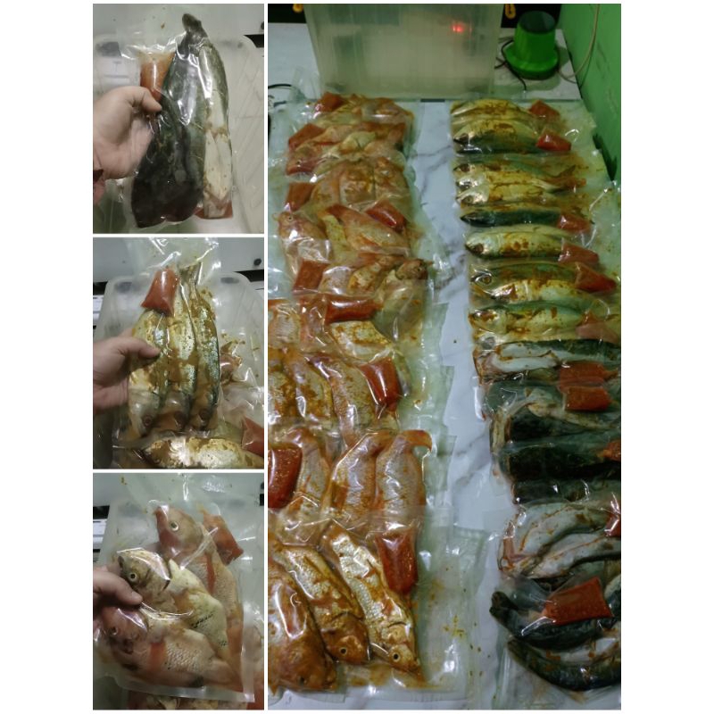 

FROZEN IKAN KEMBUNG/NILA/LELE UNGKEP PLUS SAMBAL