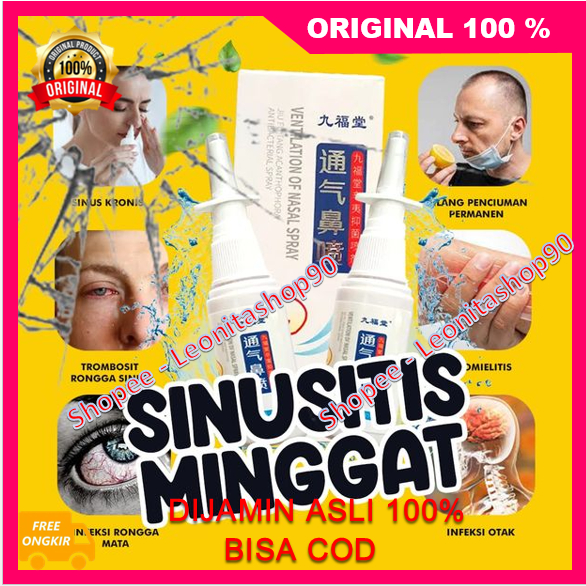 Obat Sinusheal Id Sinus Atasi Gangguan Sinusitis Sesak Nafas Seluruh Pernafasan Hidung Mampet Pilek 
