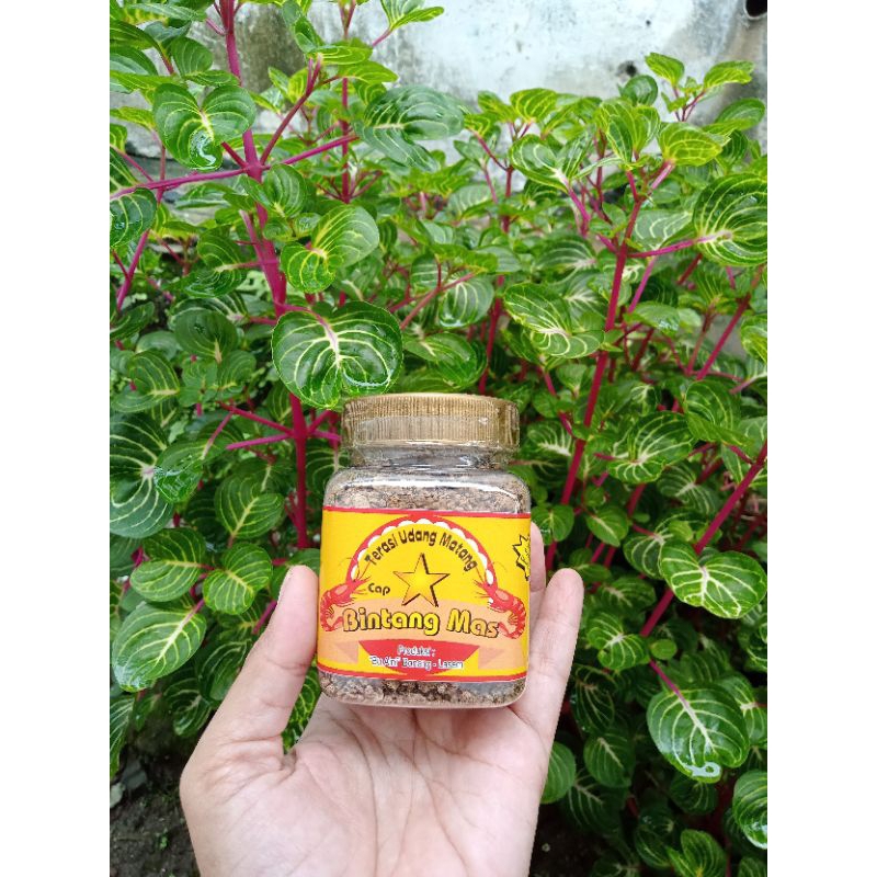 

terasi matang