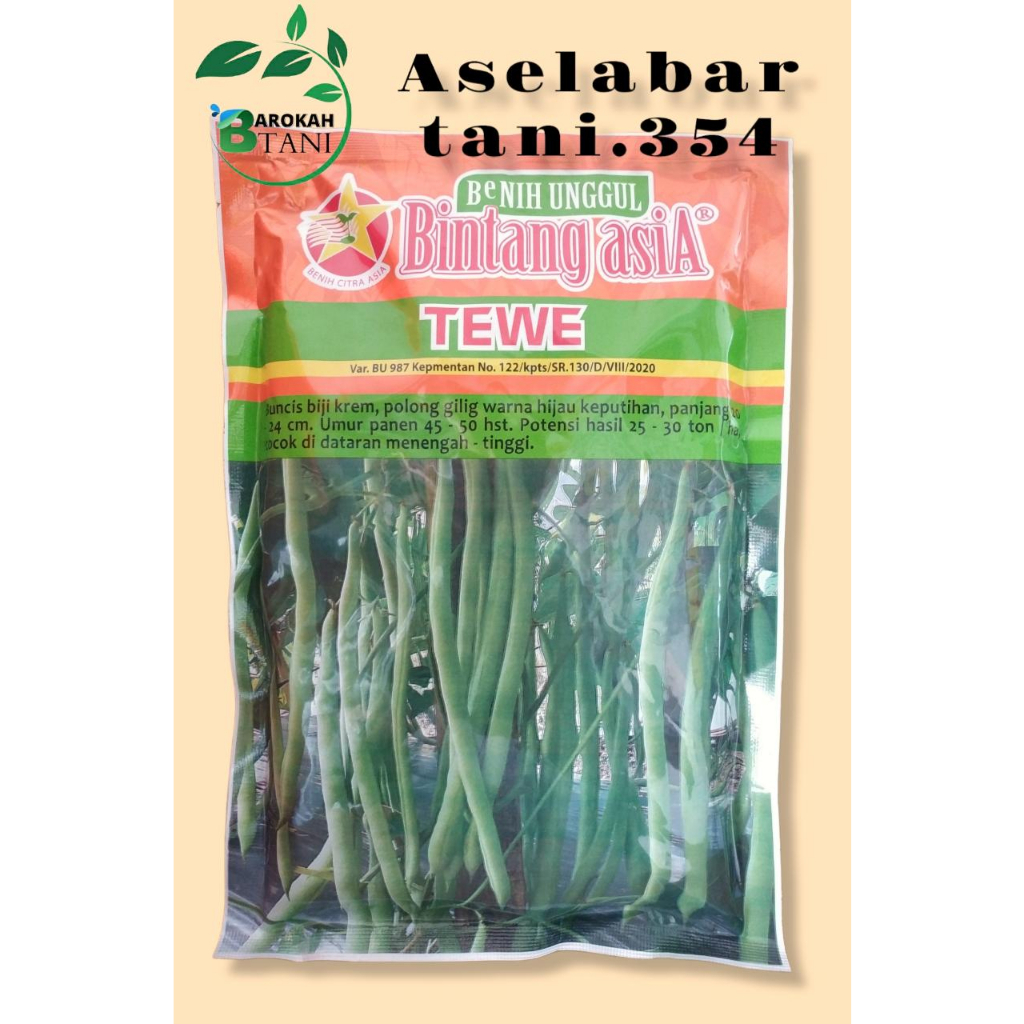 BENIH BUNCIS TEWE 500 GR BINTANG ASIA