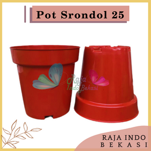 Pot Tinggi Srondol 25 Bata Coklat Merah Bata Terracota - Pot Tinggi Usa Eiffel Effiel 18 20 25 Lusinan Pot Tinggi Tirus 15 18 20 30 35 40 50 Cm Paket murah isi 1 lusin pot bunga plastik lusinan pot tanaman Pot Bibit Besar Mini Kecil Pot Srondol