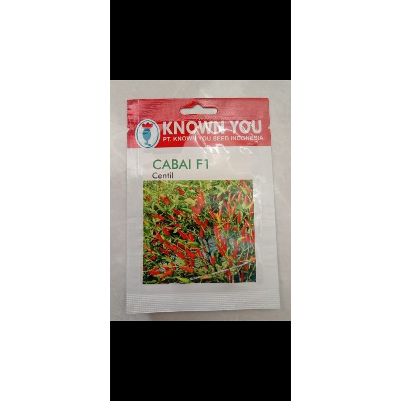 CABE RAWIT TEGAK HIJAU MERAH CENTIL KNOWN YOU SEED ISI 100 SEED