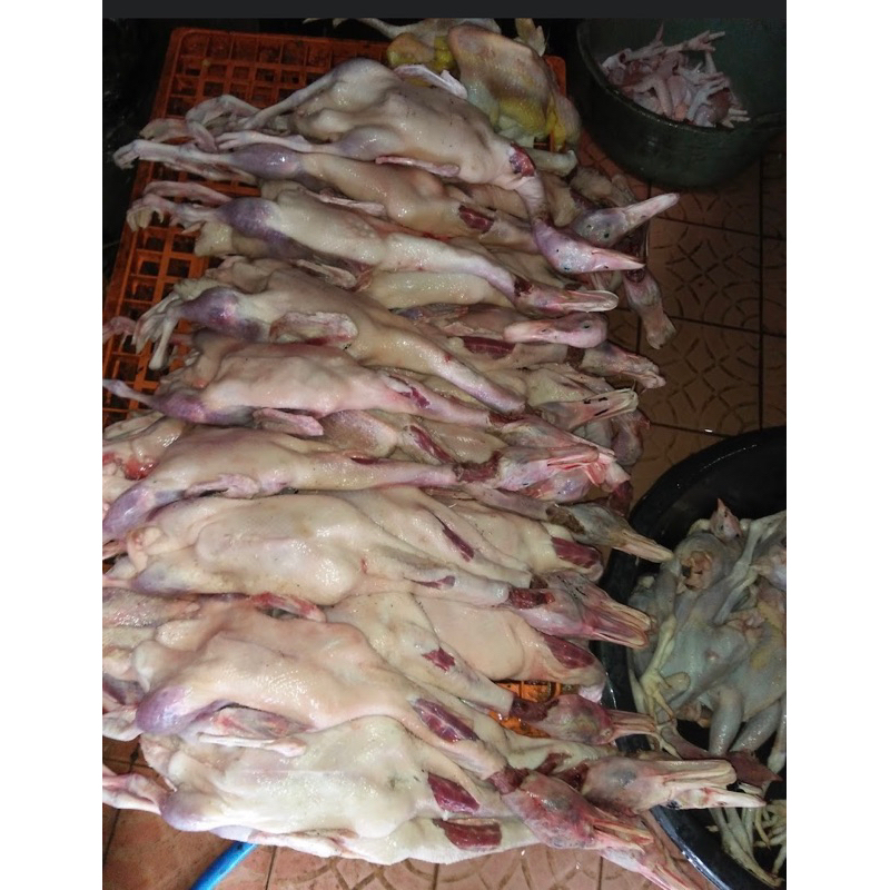 

daging bebek mentok frezer