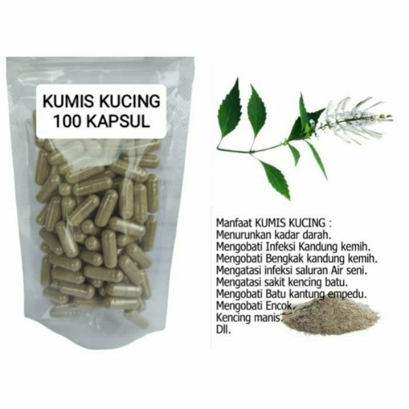 

KUMIS KUCING Kapsul Herbal Alami Kemasan Hemat - isi 100 pcs