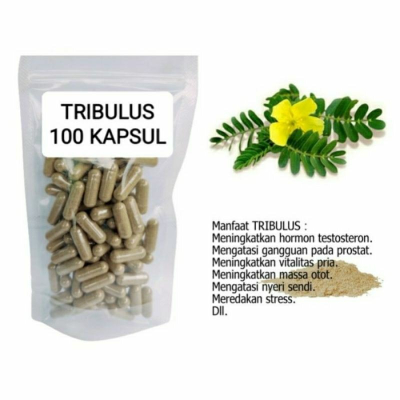 

TRIBULUS SUPER Kapsul Herbal Alami Kemasan Hemat - isi 100 pcs