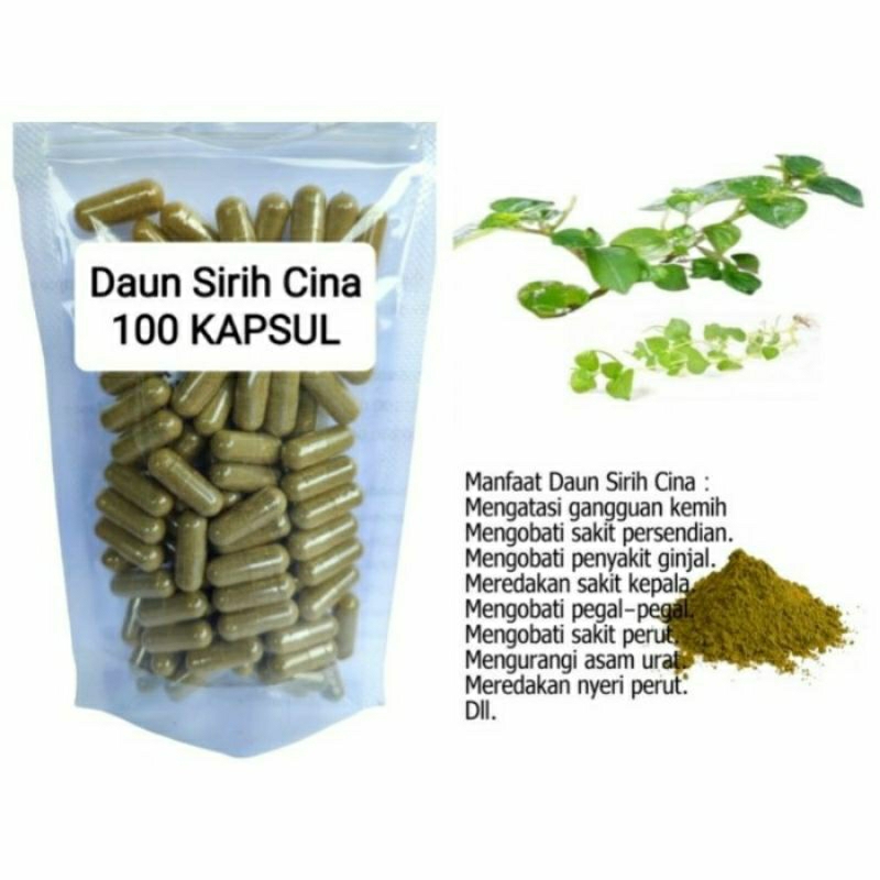 

DAUN SIRIH CINA Kapsul Herbal Alami Kemasan Hemat - isi 100 pcs