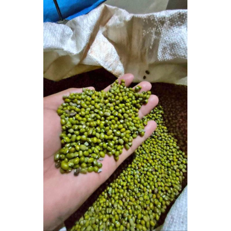 

Kacang Hijau Super 1kg