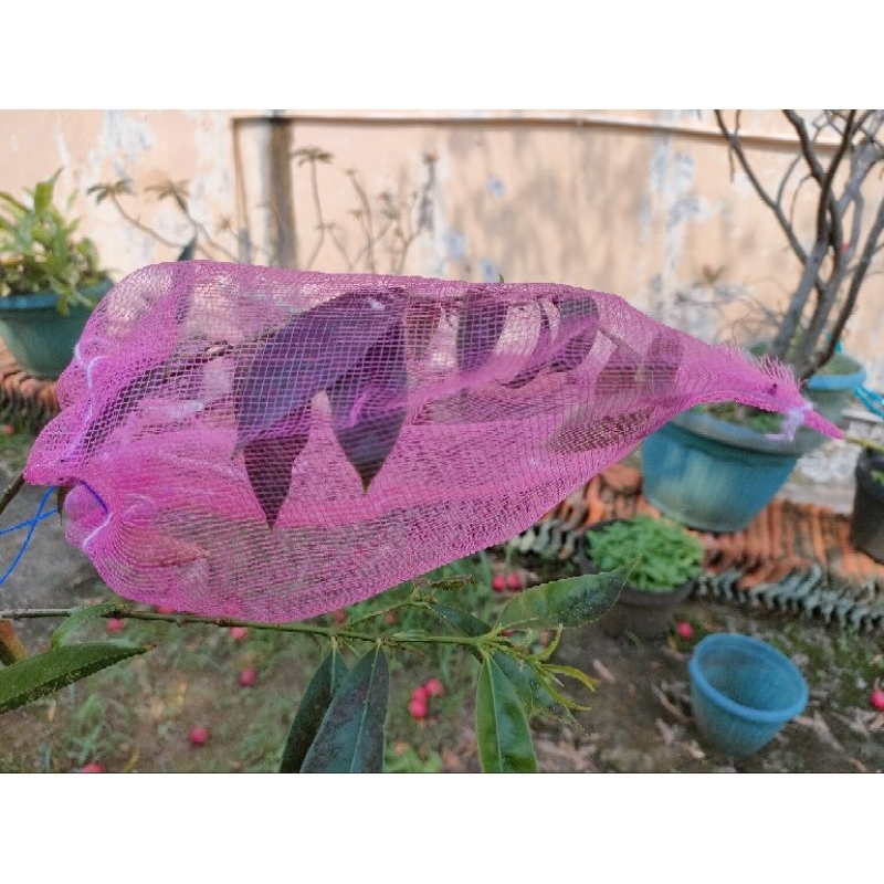 Fruit cover pelindung buah brongsong mangga,jambu,kelengkeng
