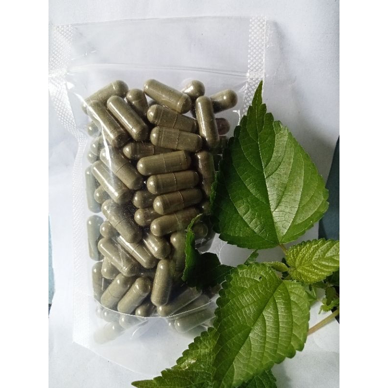 

Herbal daun kapsul jelatang 100 pcs